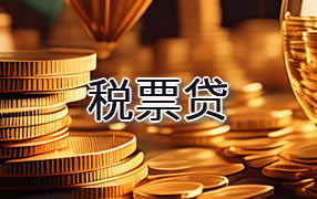 昌都税票贷